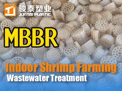 Kapalı Karides Yetiştiriciliği Atıksu Arıtımı İçin MBBR|Uzman Rehberi