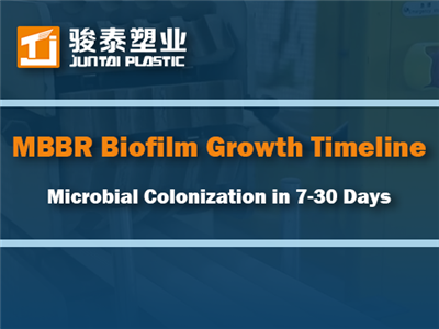 MBBR Biyofilm Büyüme Zaman Çizelgesi: 7-30 Gün İçinde Mikrobiyal Kolonizasyon